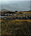 L7837 : Rocky shore and moorland by R340 by N Chadwick