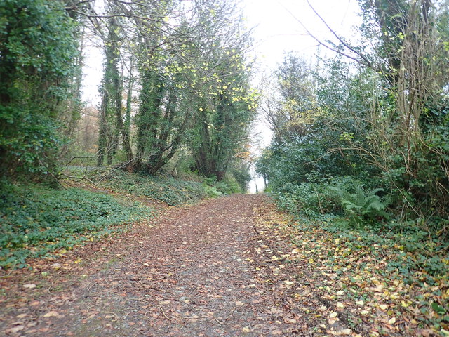 main-forestry-road-near-the-ruins-of-eric-jones-geograph-ireland