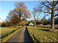 Track towards the Lodge on Sandy Hill, Shrubland Park