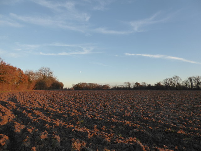 Ploughed field in Barham