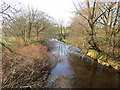 Kirtle Water below Gowkhall Bridge