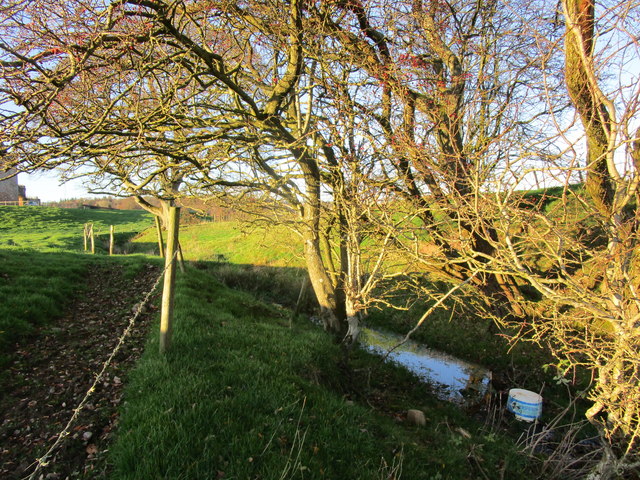 Minor tributary of the Esk at Kirkandrews