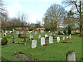 TQ3551 : Burial ground, Godstone by Robin Webster