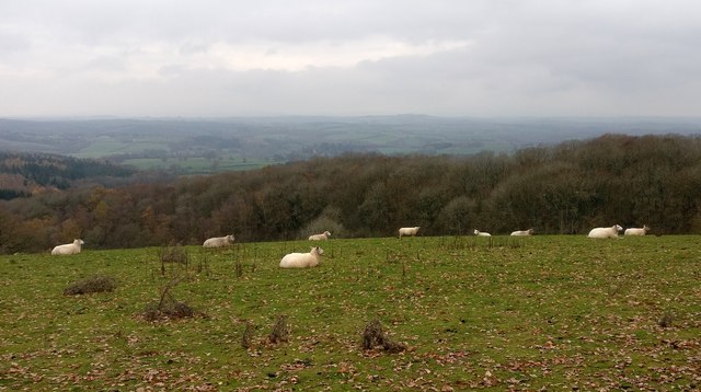 View west across the Severn Valley