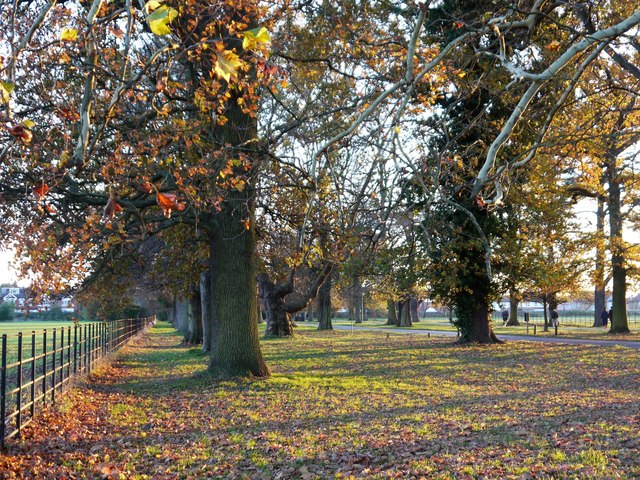 The Avenue, Osterley, in November