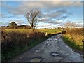 NY0305 : Farm lane near Ponsonby by David Medcalf