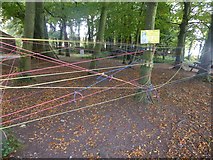 N4147 : Spider Web Obstacle by Oliver Dixon