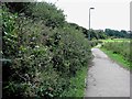 Footpath by South Saxons playing fields