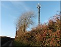 Telecoms mast on Blakewell Hill