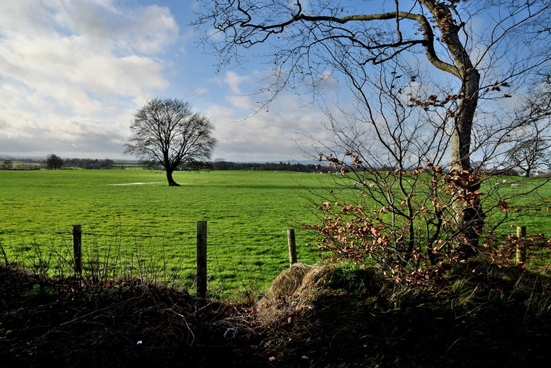 Bracky Townland © Kenneth Allen cc-by-sa/2.0 :: Geograph Ireland