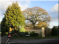 Trees by the entrance to Hall Gardens