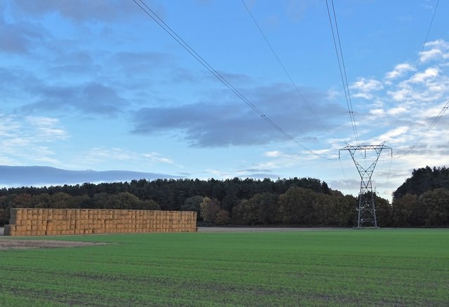 Farmland near Haughton with pylon