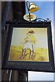 The Bold Dragoon pub sign, Weston Favell