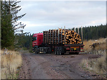 NC6835 : Timber haulage in the Naver Forest by John Lucas