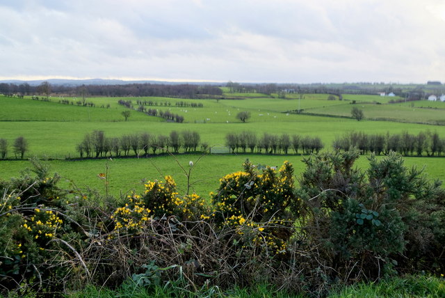 Whins, Backy © Kenneth Allen :: Geograph Ireland