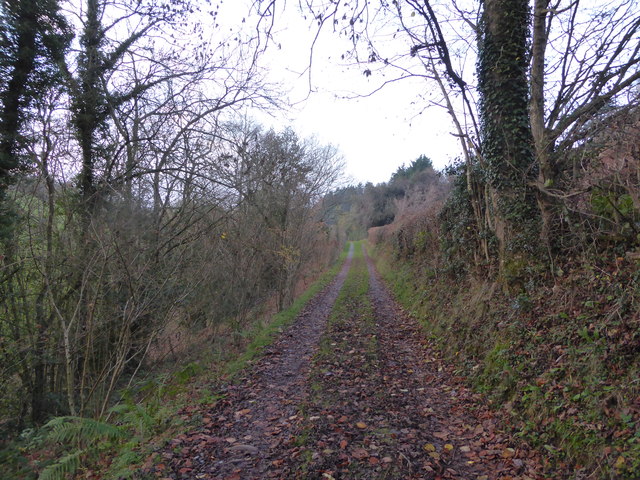 Track in the Chelmick Valley