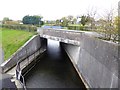N3851 : Canal bridge at Ballina by Oliver Dixon