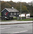 Poppies on a Malpas Road house side wall, Newport