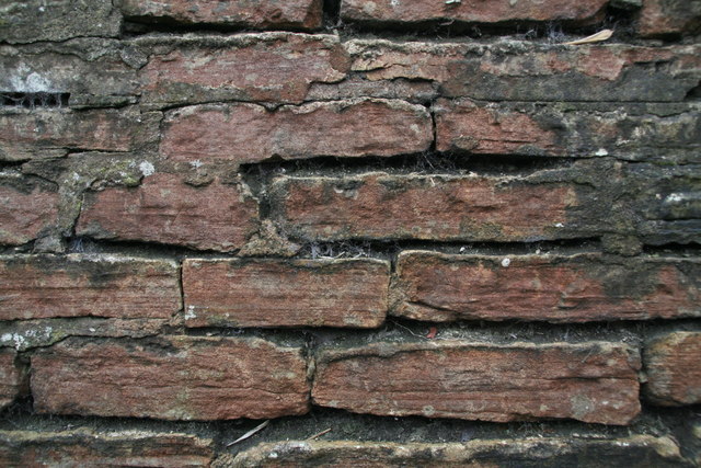 Horizontally bedded limestone in a wall in High Street, Boston Spa