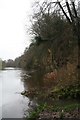 Jackdaw Crag on the River Wharfe, Boston Spa (1)