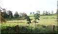 View across parkland in the direction of Cabra House