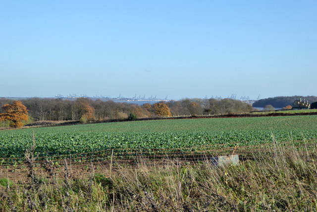 View east from Church Road, Wrabness