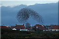 A starling murmuration at Prestwick