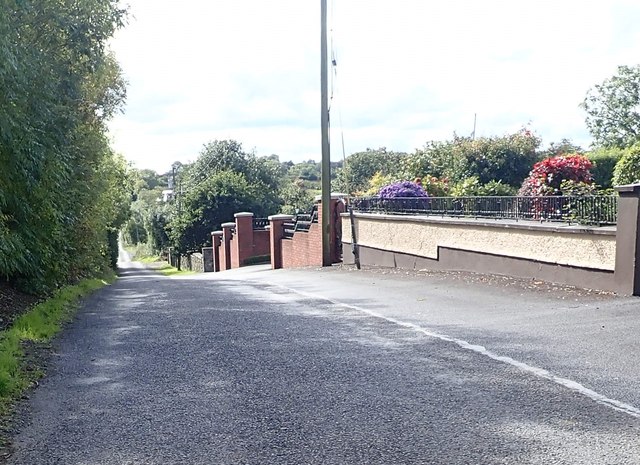 Road descending towards Ballybinaby Bridge