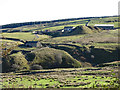 The valley of Ireshope Burn below Groove Heads Mine (disused) (2)