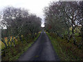 Road heading for Balantrath and beyond