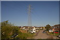 Pylon, Heather Close