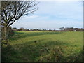 Public footpath from Seion to Tan yr Wylfa