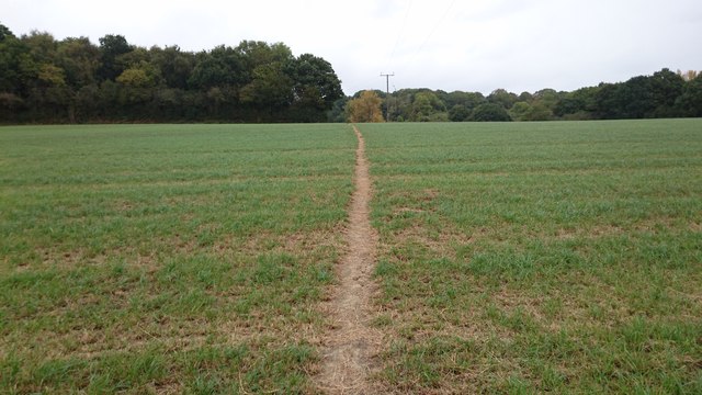 Footpath across farmland