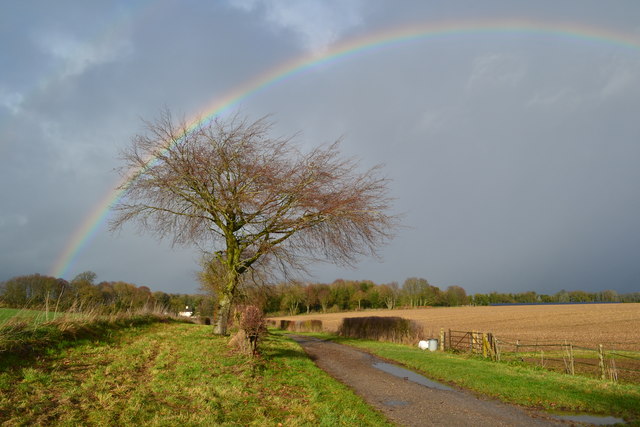 Rainbow over the track to West Stoke Farm