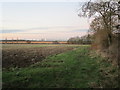 Fields off Thorpe Lane