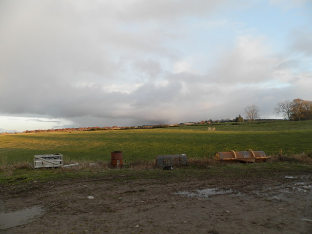 Field at Lower Muckovie