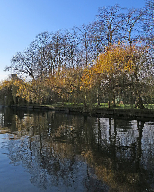 Willows at Magdalene College