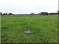 Fields at Hawcroft Grange