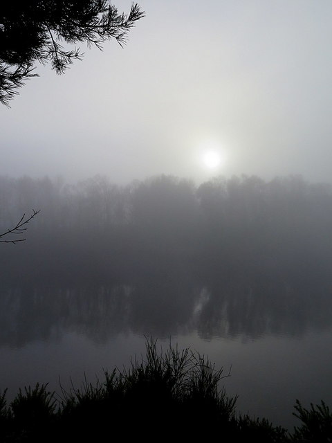 Mist over River Tyne