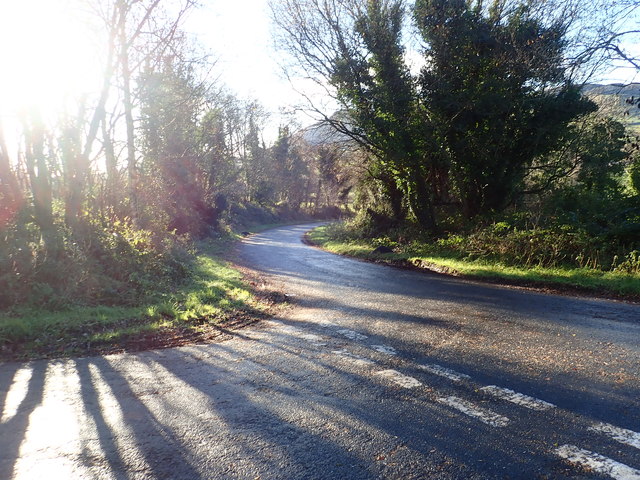 Unnamed road linking  the northern end of Forest Road with Longfield Road
