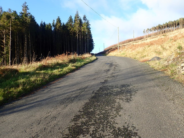 The dead end unnamed road leading from the B113 approaching the junction with the descending Forest Park road