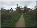 Footpath entering Catterall