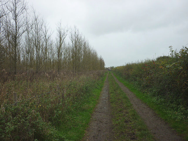 Track to Gibson's Farm