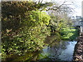 The  River Dour, Lower Road, River