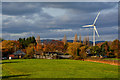 Cardiff : Grassy Field