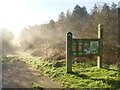 Information board in Ollerton Pit Wood