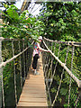 SX0455 : Eden Project - tree canopy walkway by Stephen Craven