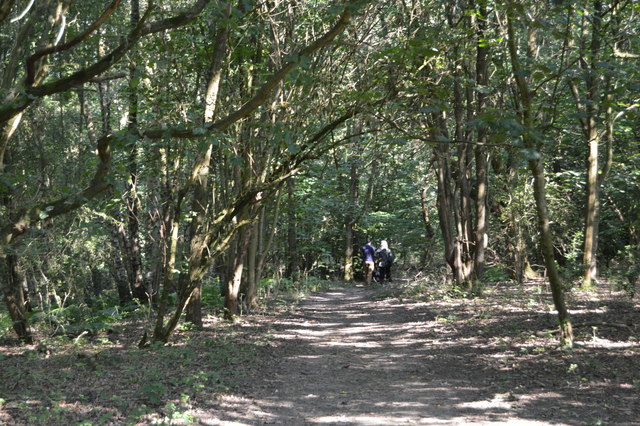 Stanmore Country Park