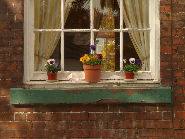5 Severn Square, Newtown - window