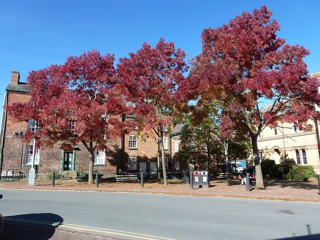 Severn Square, Newtown